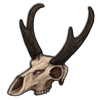 File:Skull pronghorn.png