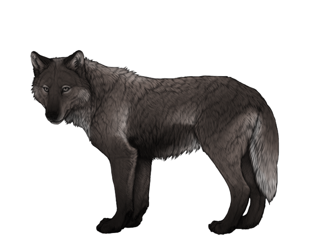 File:Base caribou preview.png