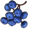 File:Crop blueberry.png