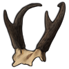 File:Antler pronghorn.png