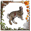 File:Remnantrabbitcarcass.png