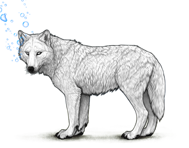 File:Bluebubbles preview.png