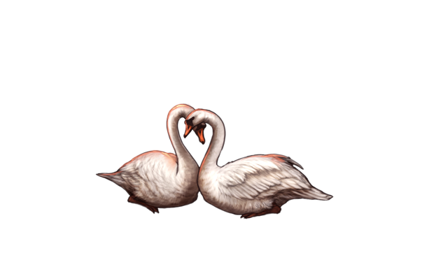 File:Swansinlovedusk.png