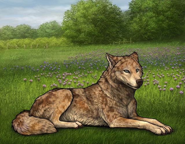 File:Rafflestud yellowstone.png