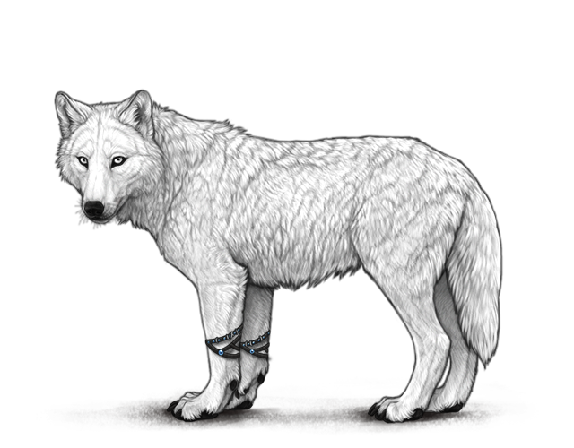 File:Sporebeadedbracelets preview.png