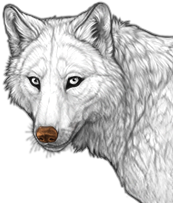 File:Nose lightbrown preview.png