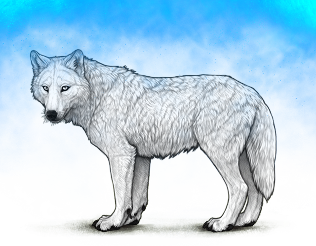 File:Lunarhaze preview.png