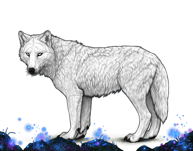 File:Glowinglichenrocks preview.png