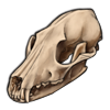 File:Skull fox.png