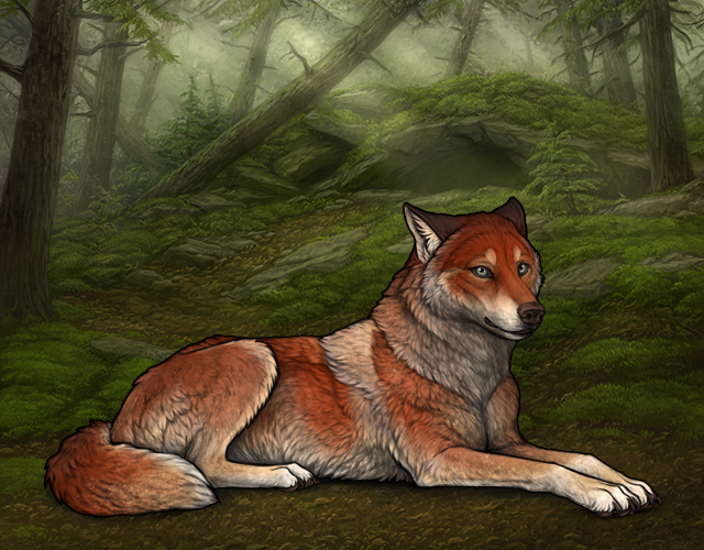 File:Rafflestud corvusii.png