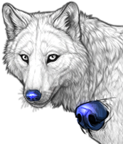 File:Nose sacer preview.png