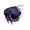 File:Nose duorum.png