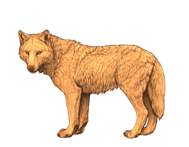 File:Base goldlighter preview.png