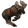 File:Moose.png