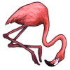 File:Flamingocarcass.png