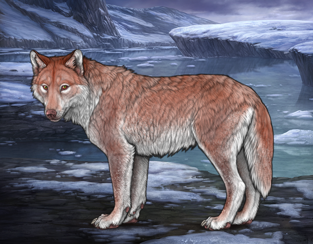 File:Rafflestud ursa.png