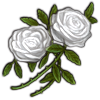 File:Crop white-rose.png