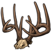 File:Antler whitetail.png
