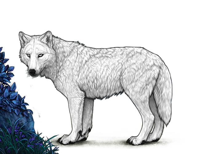 File:Bluegrassyovergrowth preview.png