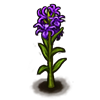 File:Flower keyflower.png