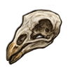 File:Skull vulture.png