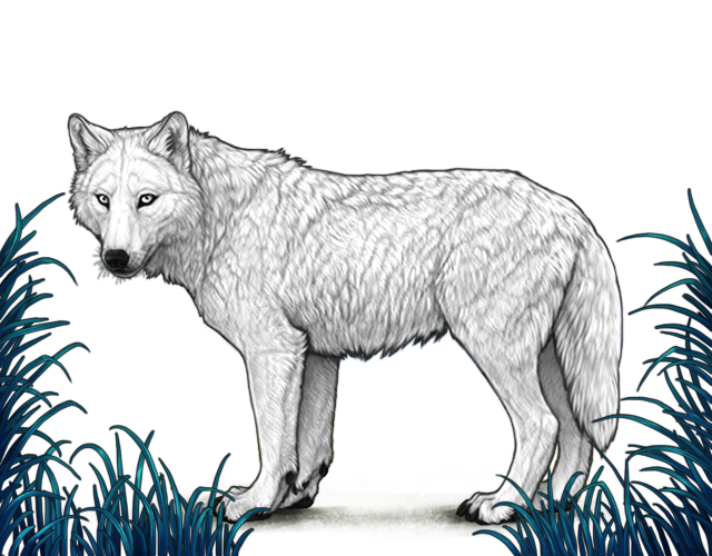 File:Talllunargrass preview.png