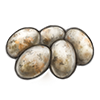 File:Eggs anaconda.png