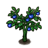 File:Fruit blueberry.png