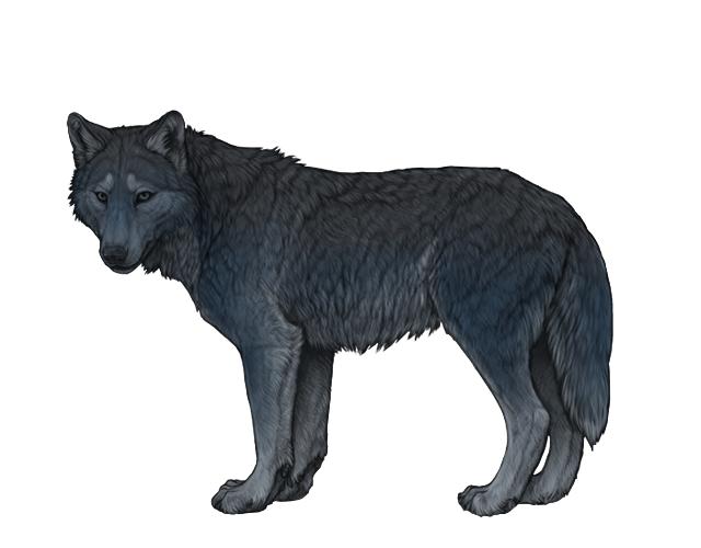 File:Base denim preview.png