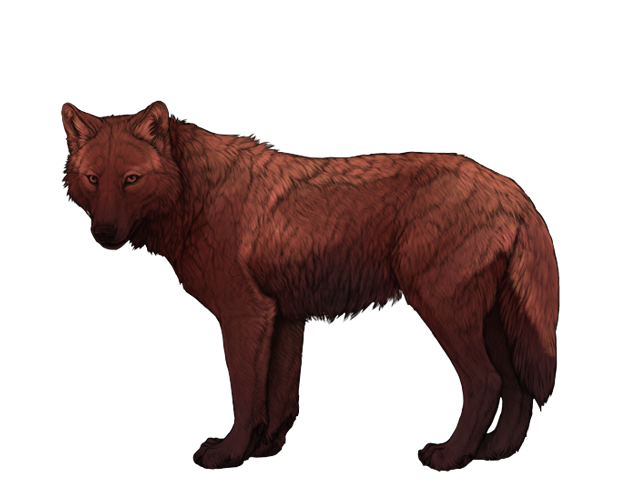 File:Base sarder preview.png