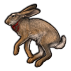 File:Hare.png