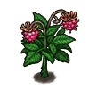 File:Fruit salmonberry-pink.png