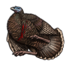 File:Turkeyhencarcass.png