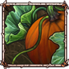 File:Freshpumpkins.png
