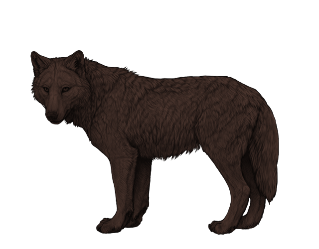 File:Base chestnut preview.png