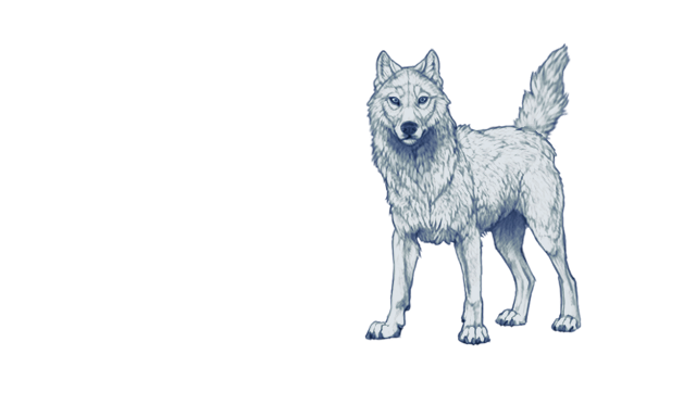 File:Arcticwolfnight.png