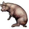File:Swine.png