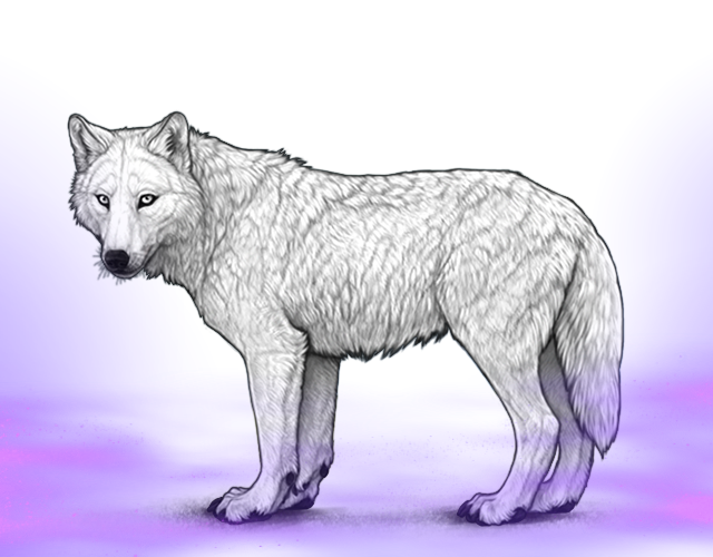 File:Purpleglowinggroundfog preview.png