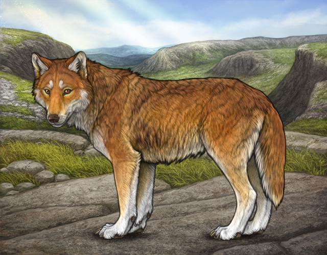 File:Rafflestud pyxisiii.png