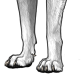 File:Claw white preview.png