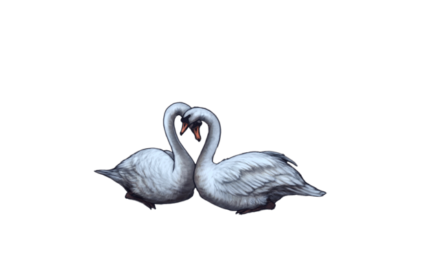File:Swansinlovenight.png