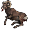File:Bighornsheepram.png