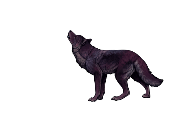 File:Lonehowlingwolfnight.png