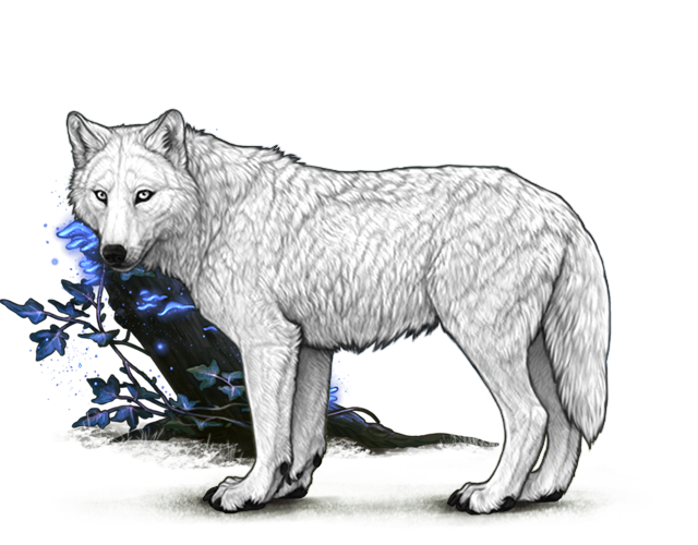 File:Lunarwoodearfungi preview.png