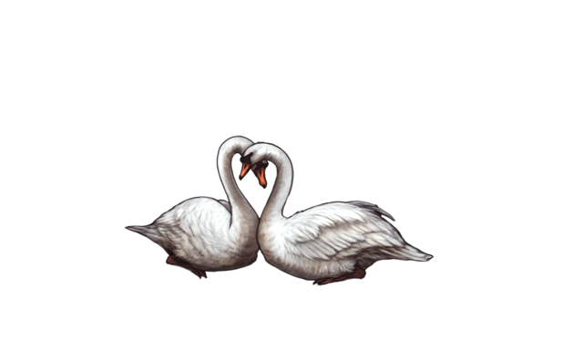 File:Swansinlovedawn.png