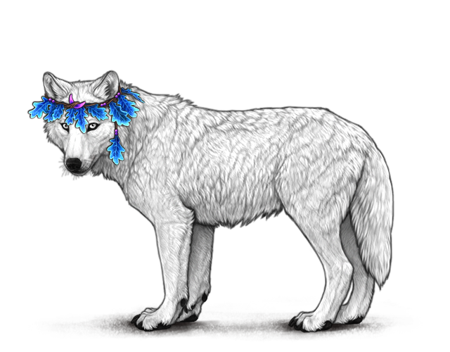 File:Lunaroakcrown preview.png