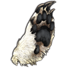File:Bearpaw polar.png