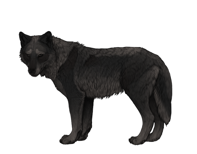 File:Base iron preview.png