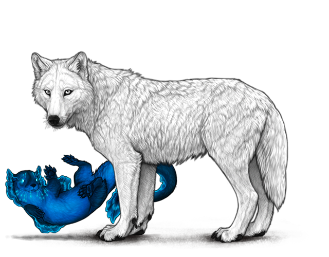 File:Cnitharianotter preview.png