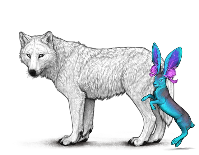 File:Papilionejackrabbit preview.png